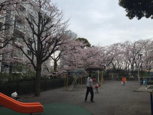 北品川の権現山公園。高杉晋作や伊藤博文らが建設中の英国公使館を焼き討ちした現場。